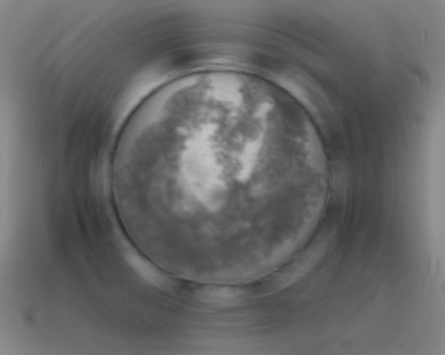 X0000115581474200911101138