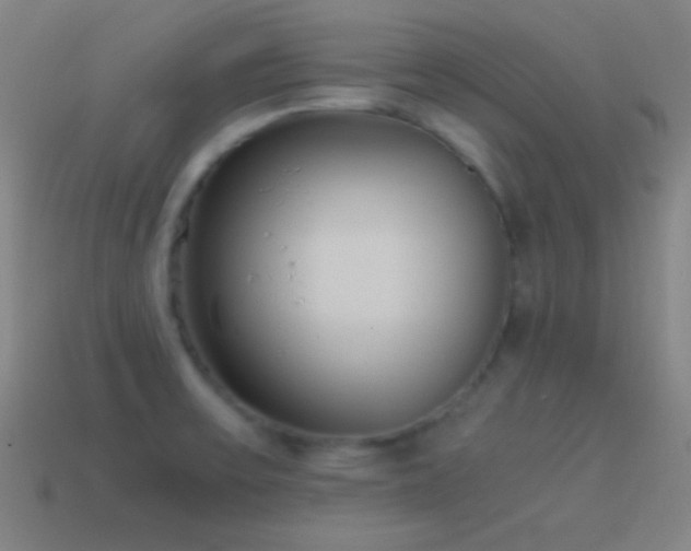 X0000115581475200911101138