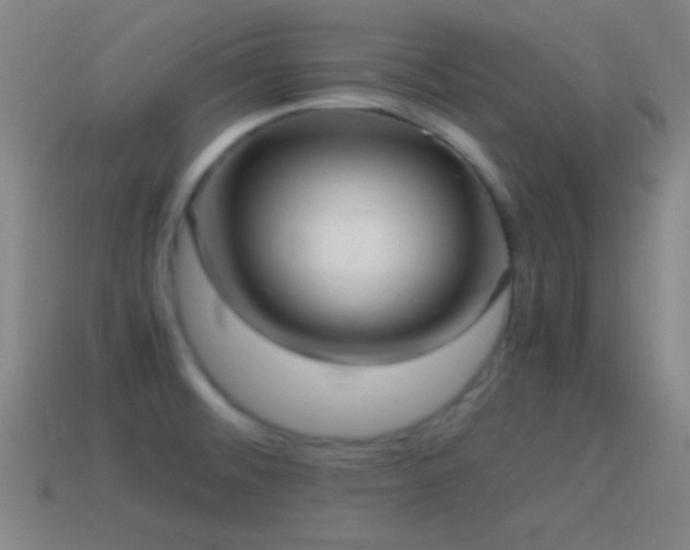 X0000115581476200911101138