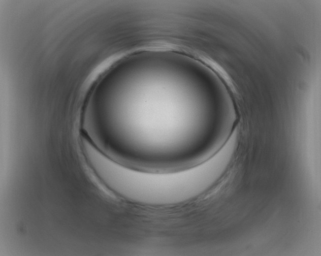 X0000115581477200911101138