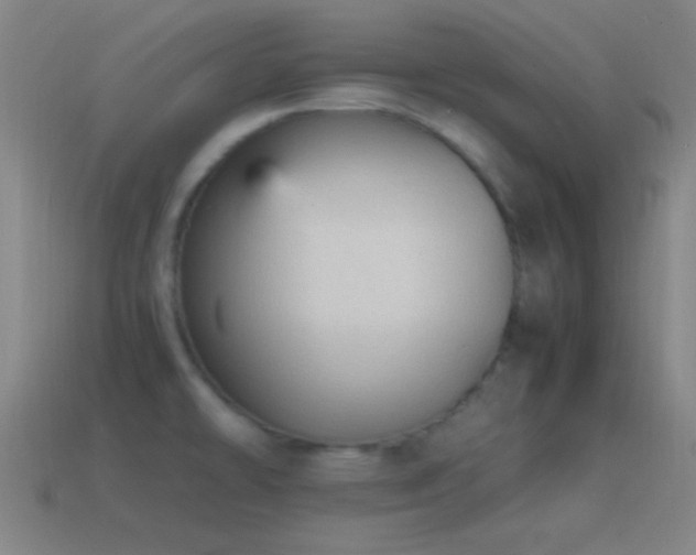 X0000115581478200911101137