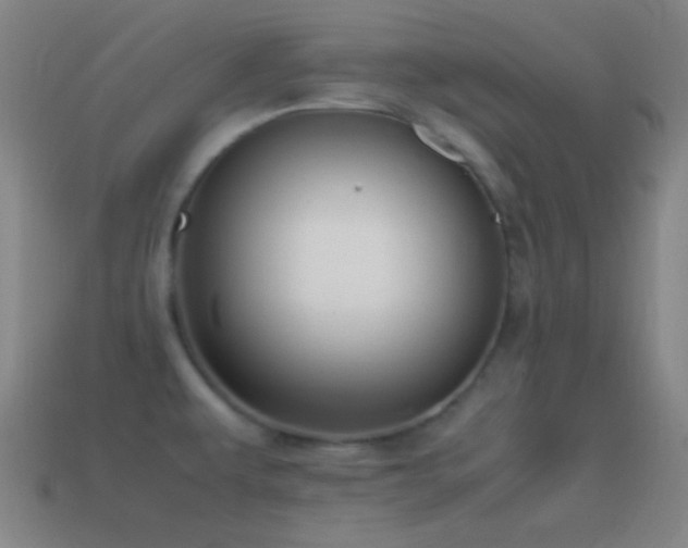 X0000115581479200911101137