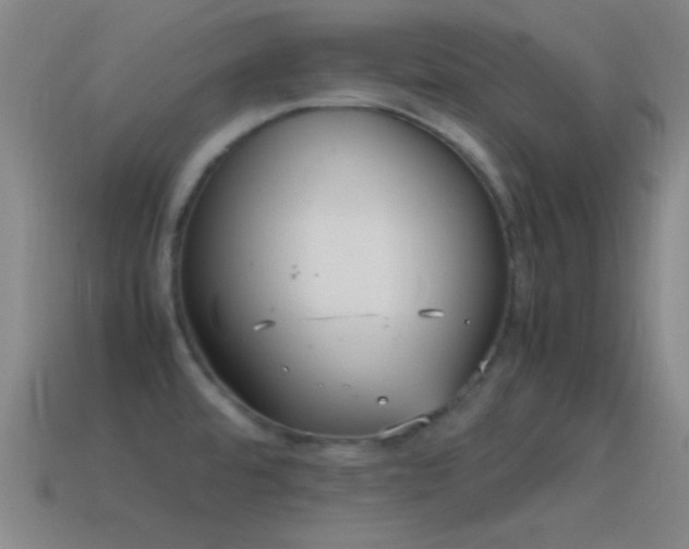 X0000115581480200911101137