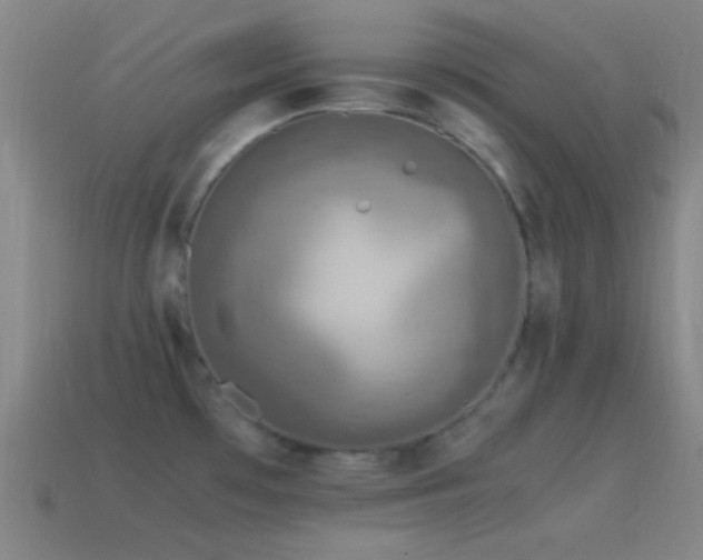 X0000115581481200911101137