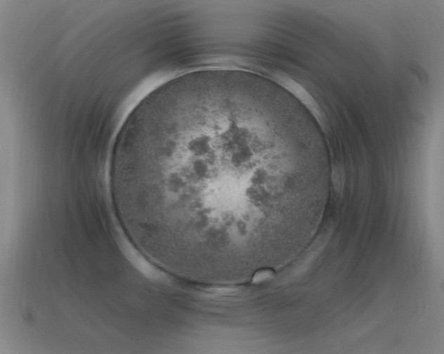 X0000115581482200911101137