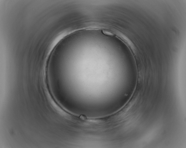 X0000115581483200911101137