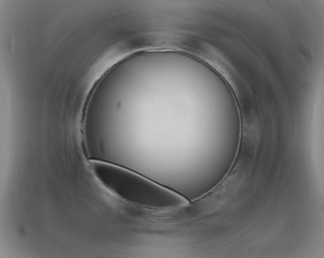 X0000115581485200911101137