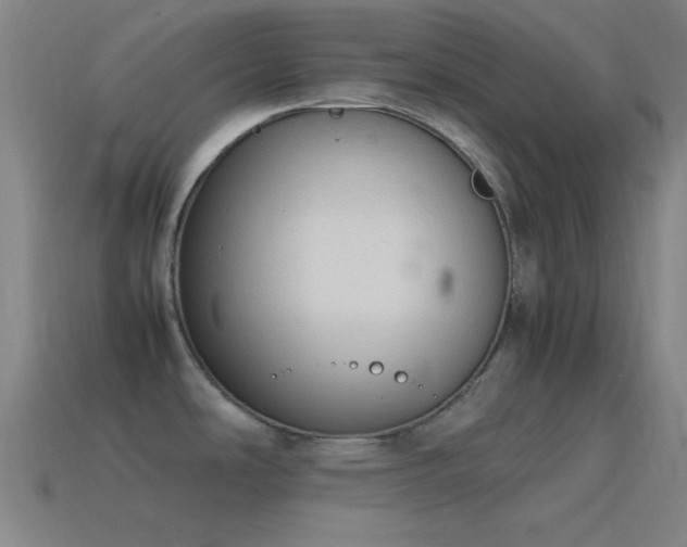 X0000115581486200911101137