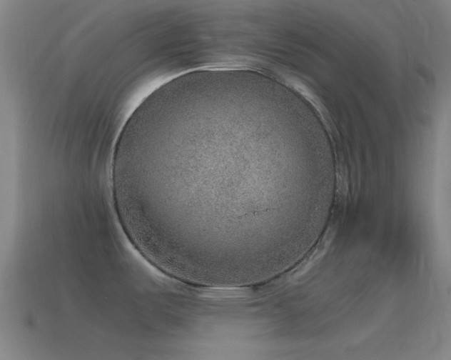 X0000115581487200911101137