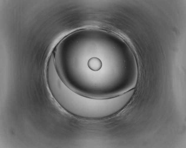 X0000115581488200911101137