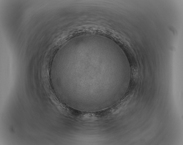 X0000115581489200911101137