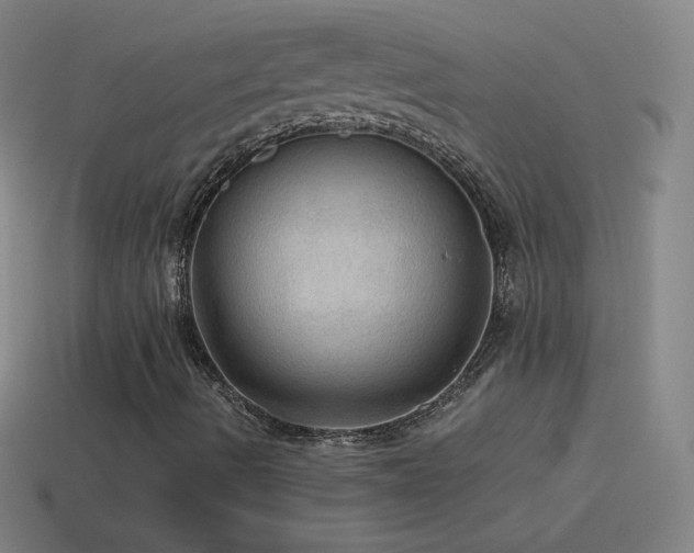 X0000115581490200911101137