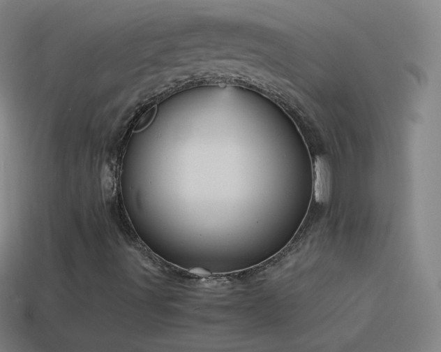 X0000115581491200911101137