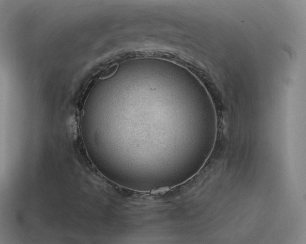 X0000115581493200911101137