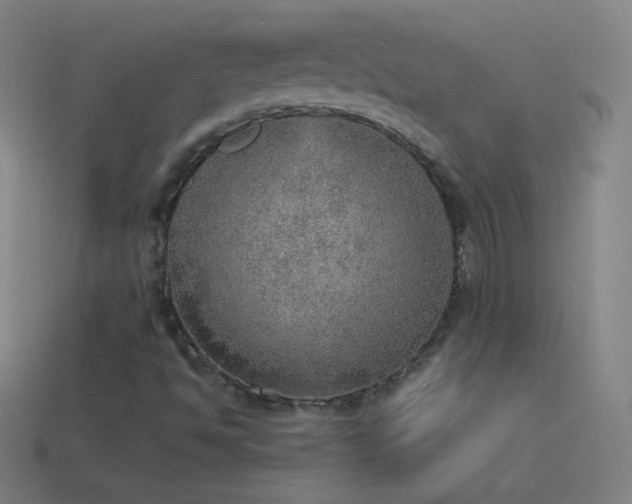 X0000115581494200911101137