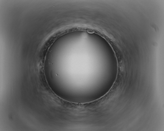 X0000115581495200911101137