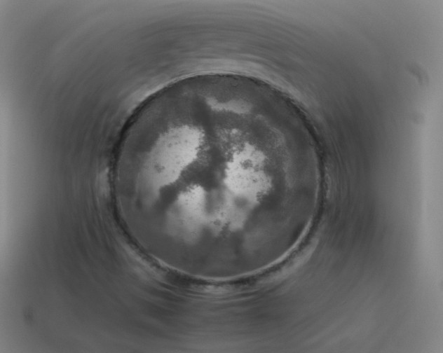 X0000115581497200911101137