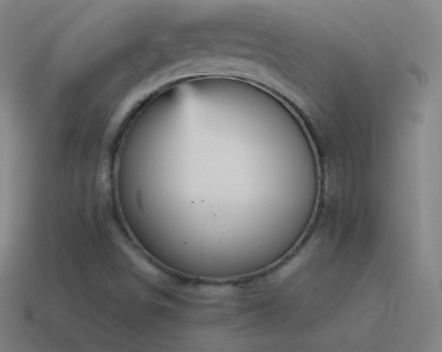 X0000115581498200911101137