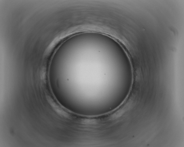 X0000115581499200911101137