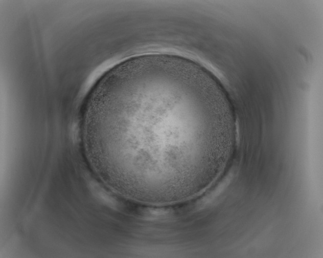 X0000115581501200911101137