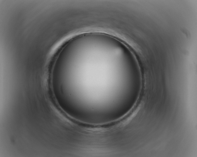 X0000115581502200911101137