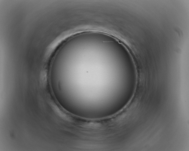 X0000115581503200911101137