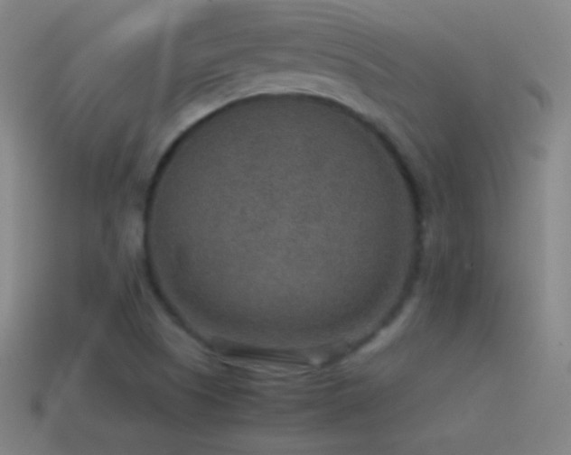 X0000115581505200911101137