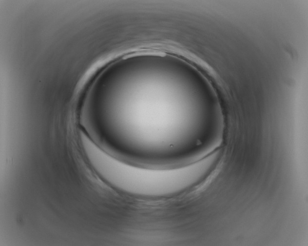 X0000115581506200911101137