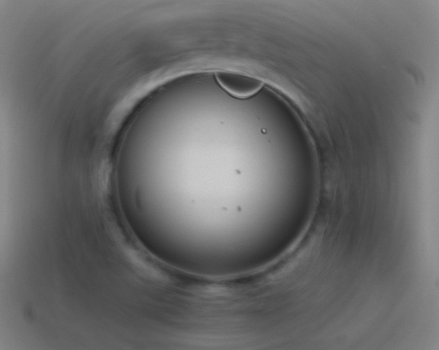 X0000115581507200911101137