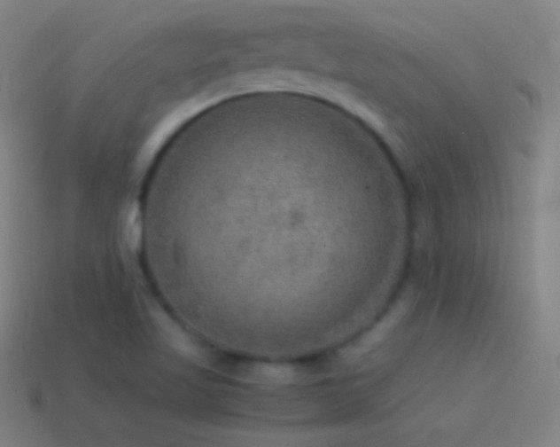 X0000115581509200911101137