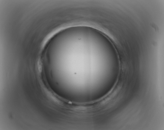 X0000115581510200911101137