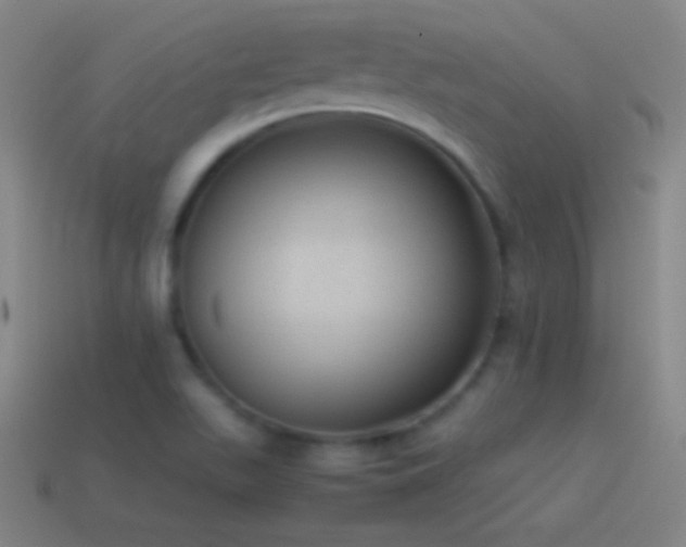 X0000115581511200911101137