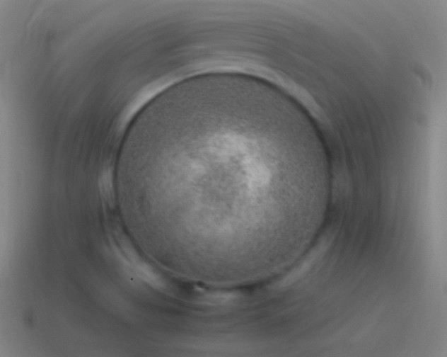 X0000115581513200911101137