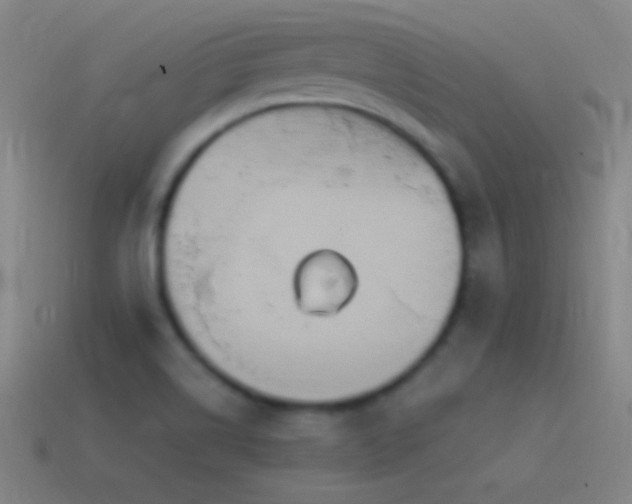 X0000115581514200911101137