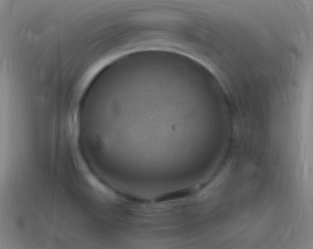 X0000115581515200911101137