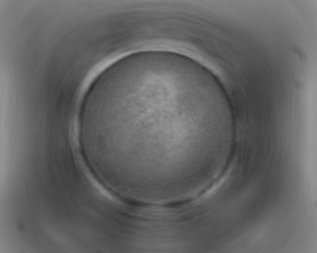 X0000115581517200911101137