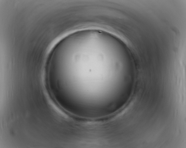 X0000115581518200911101137