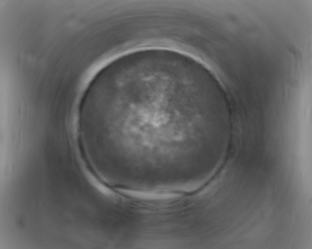 X0000115581519200911101137