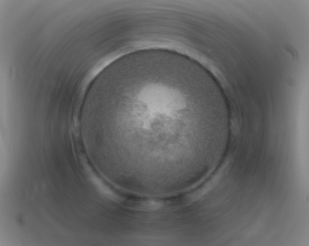 X0000115581521200911101137