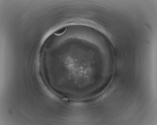 X0000115581522200911101137