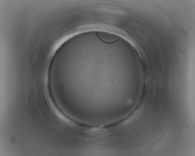 X0000115581523200911101137