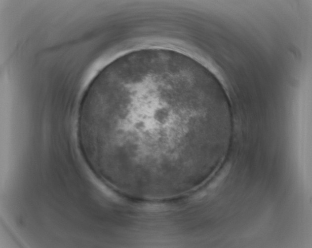 X0000115581525200911101137