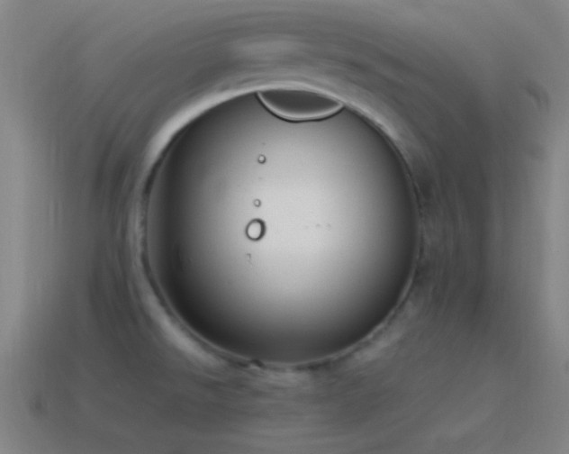 X0000115581526200911101137