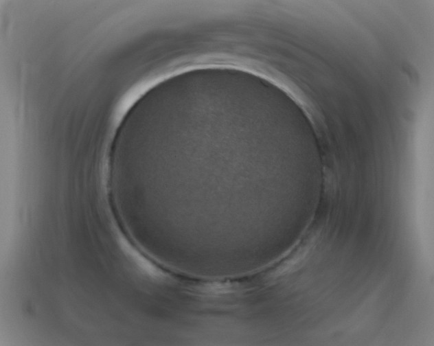 X0000115581527200911101137