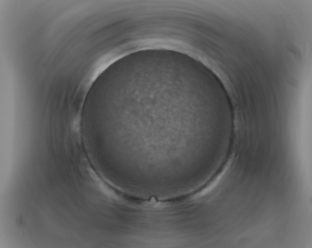 X0000115581529200911101137