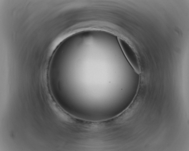 X0000115581530200911101137