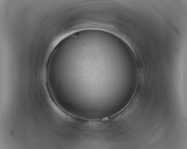 X0000115581531200911101137