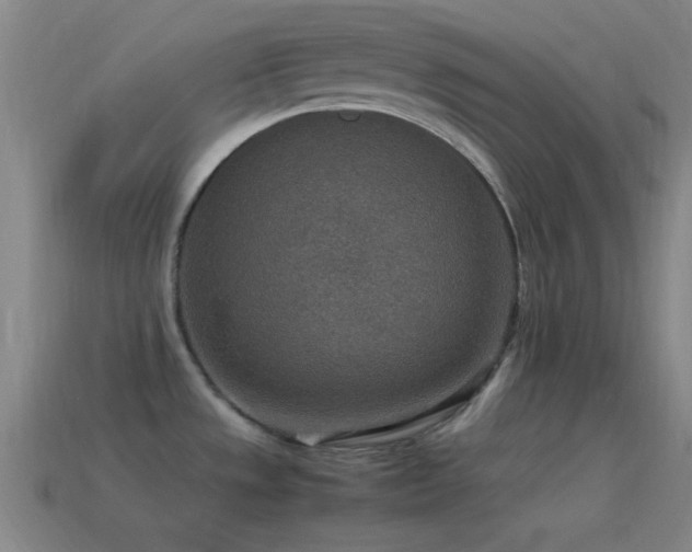 X0000115581533200911101137