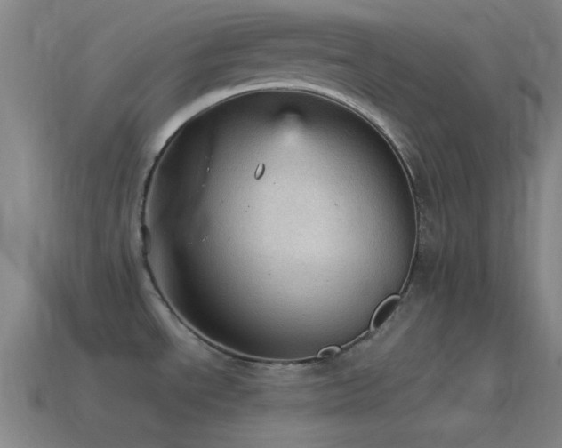 X0000115581534200911101137