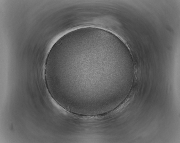 X0000115581535200911101137